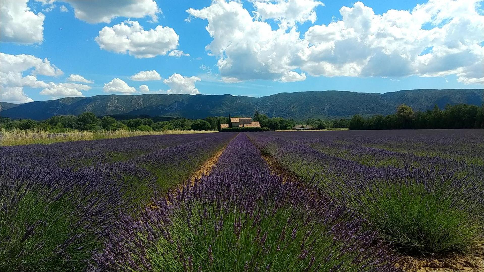 Le Mas De Roussillon Roussillon en Isere 외부 사진