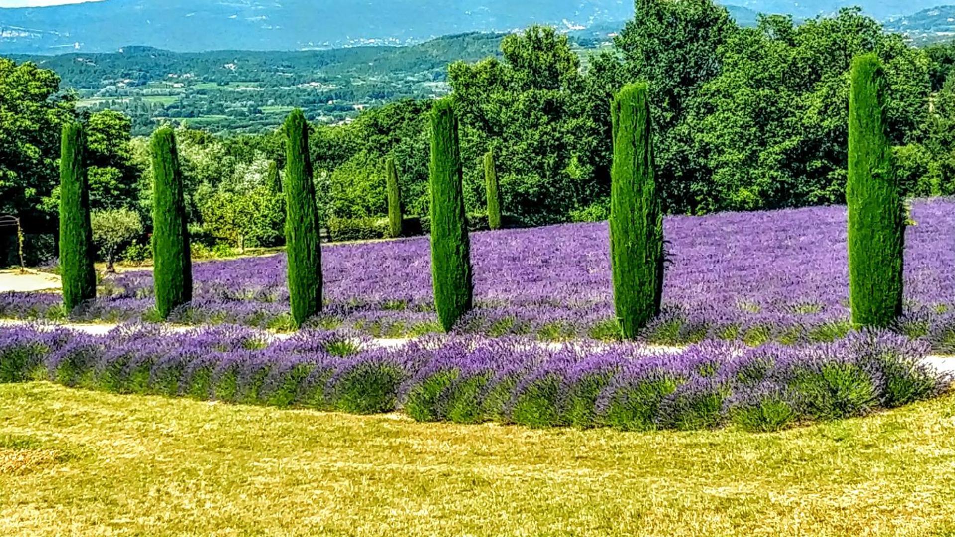 Le Mas De Roussillon Roussillon en Isere 외부 사진
